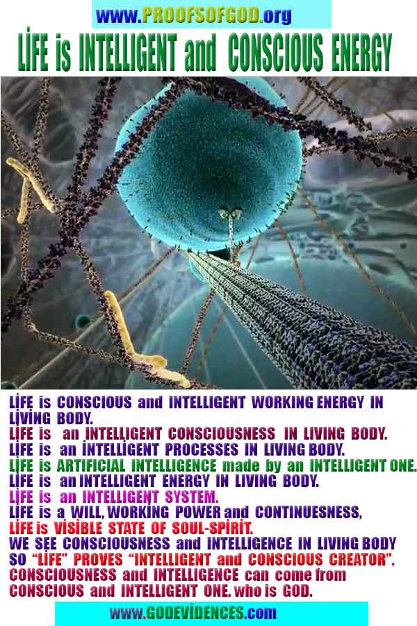 evidences of God, proofs of God, proof of God, signs of God, God is real proofs, God exists proofs, god's signs