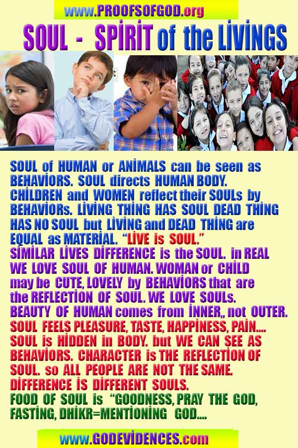 evidences of God, proofs of God, proof of God, signs of God, God is real proofs, God exists proofs, god's proofs