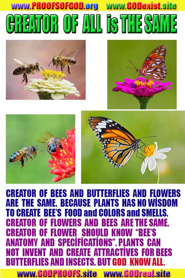 evidences of God, proofs of God, proof of God, signs of God, God is real proofs, God exists proofs, god exists, god is real evidences and proofs