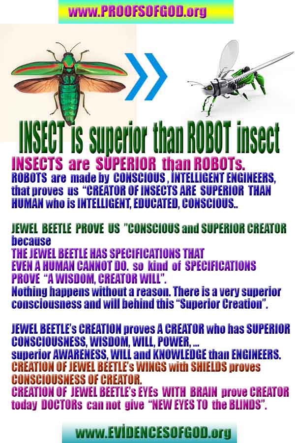 evidences of God, proofs of God, proof of God, signs of God, God is real proofs, God exists proofs, god's proofs